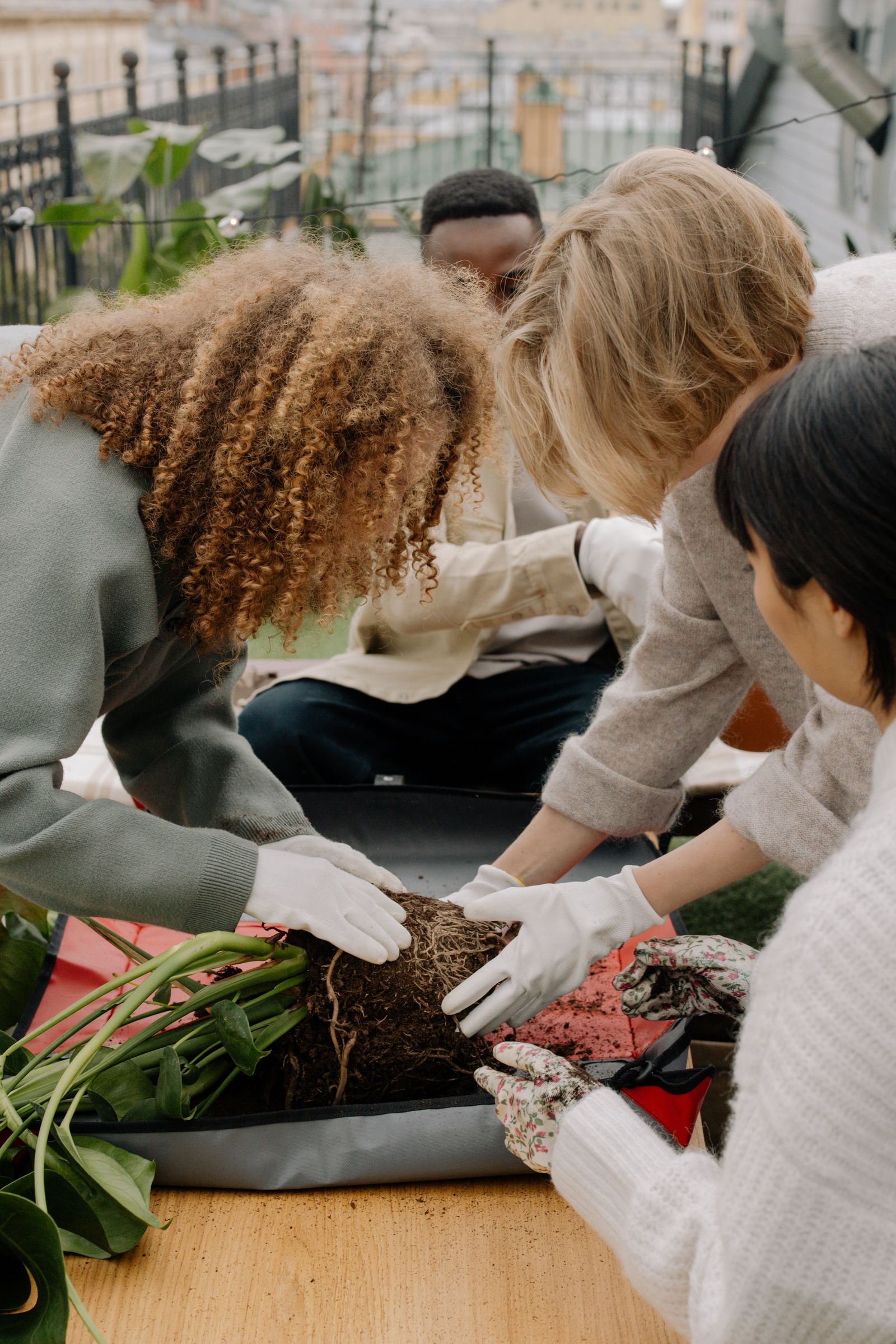 Group tending a plant together