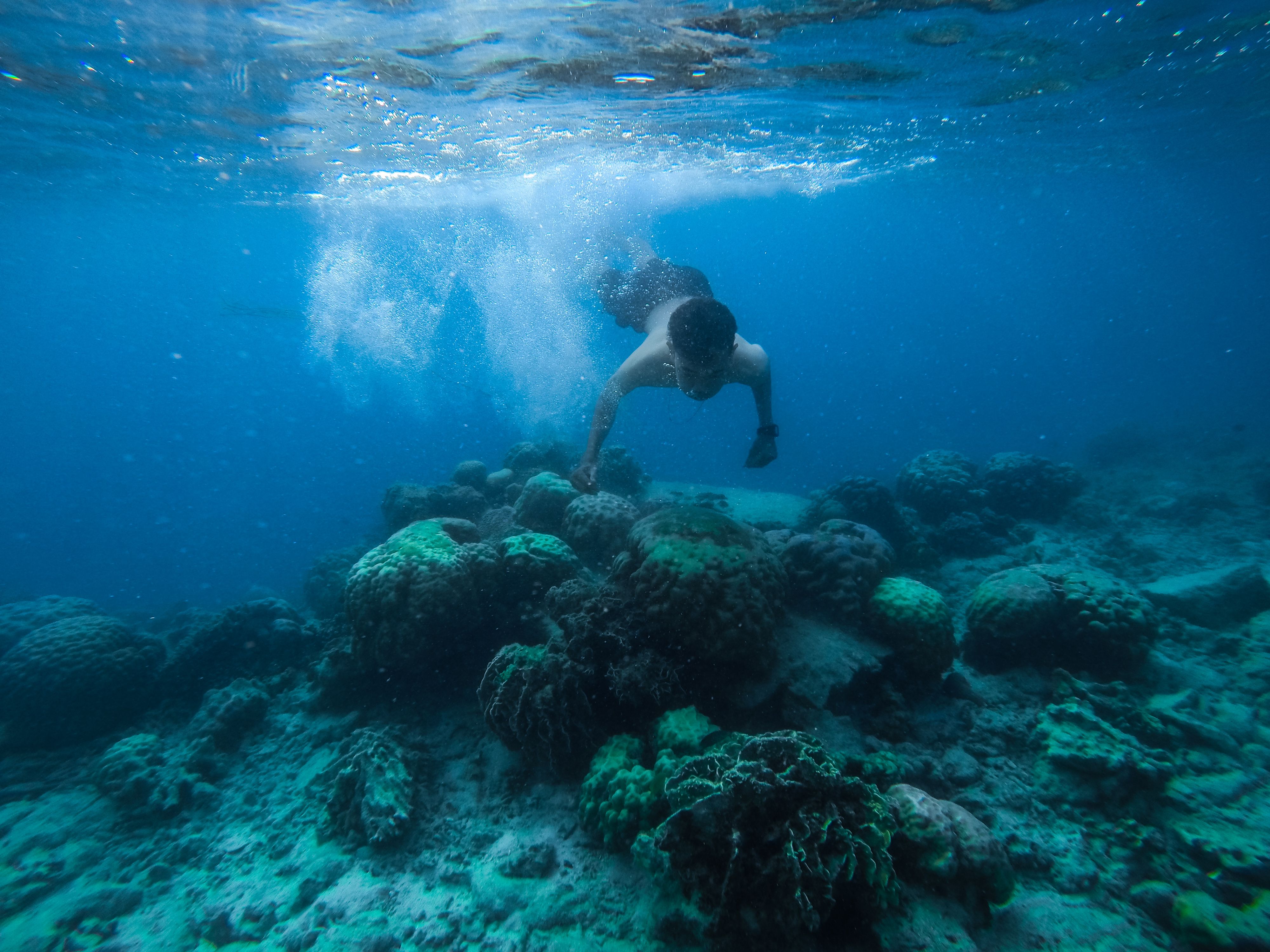 A snorkeller exploring an underwater reef