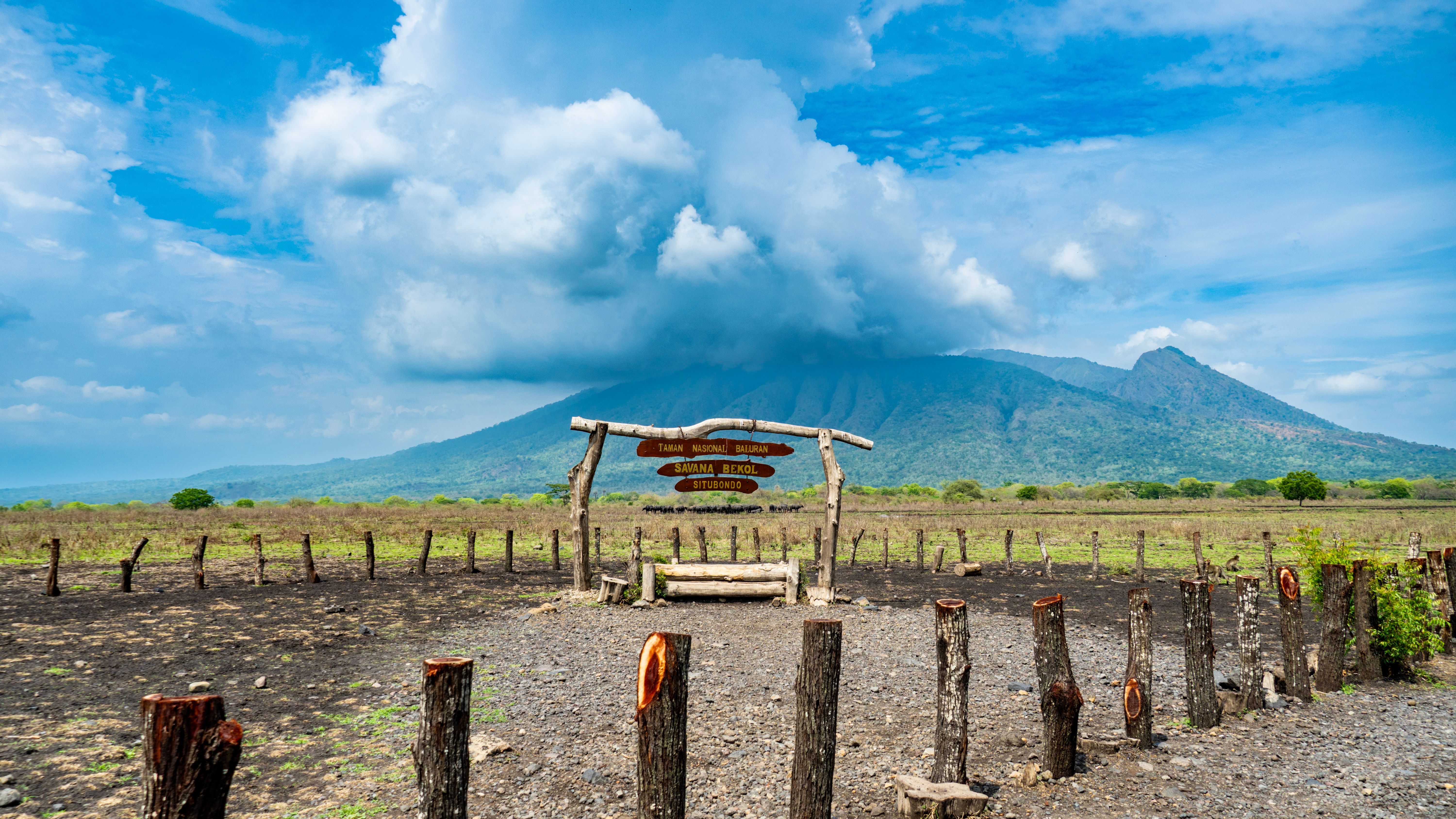 Open savanna landscape at Baluran