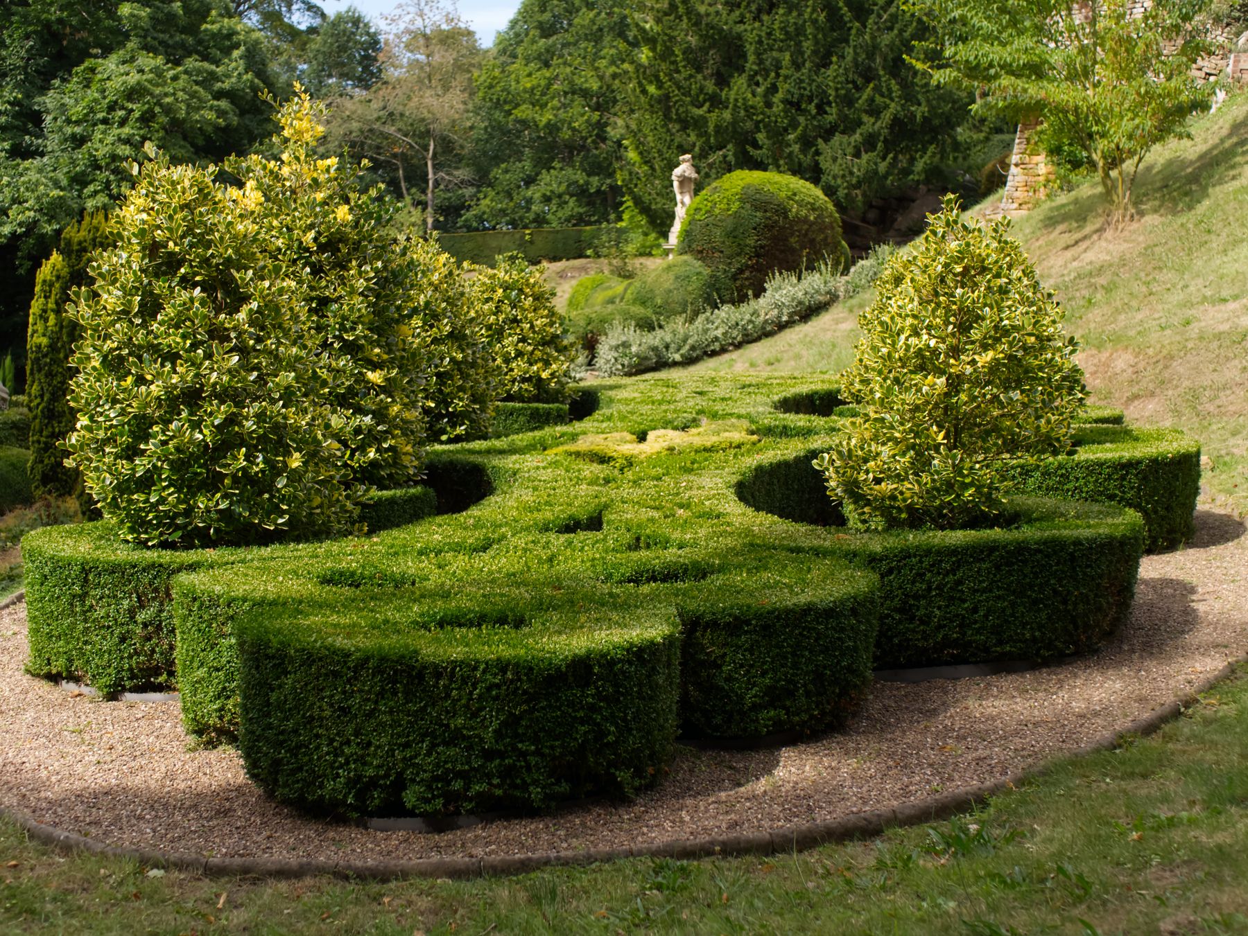 A sculpted garden with clipped hedges