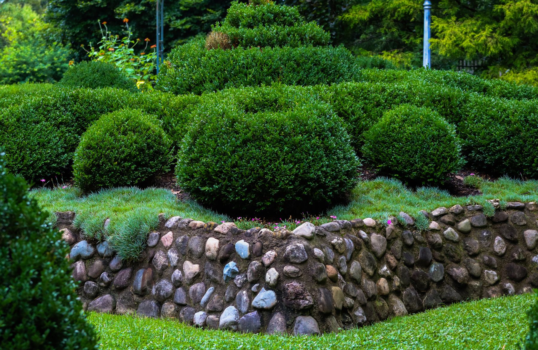 Landscape design