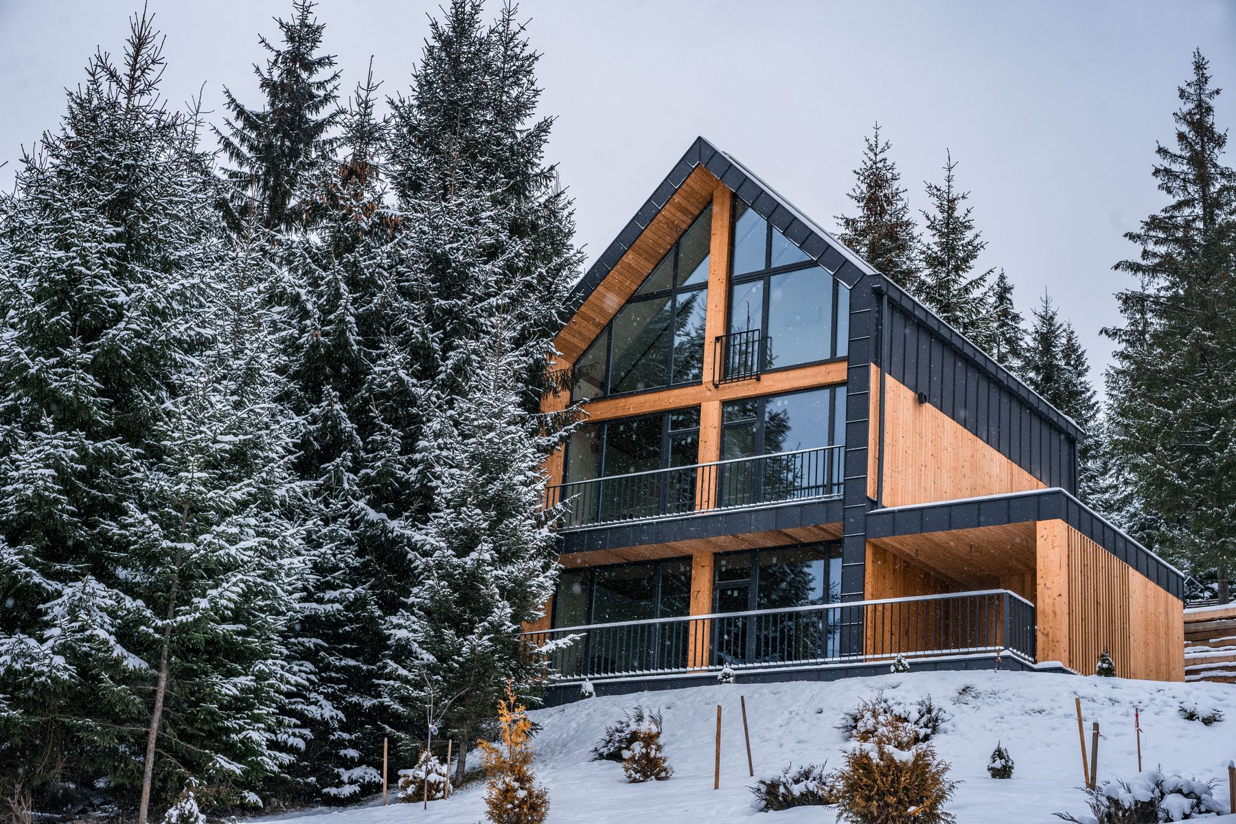 A timber and glass cabin in a snowy forest