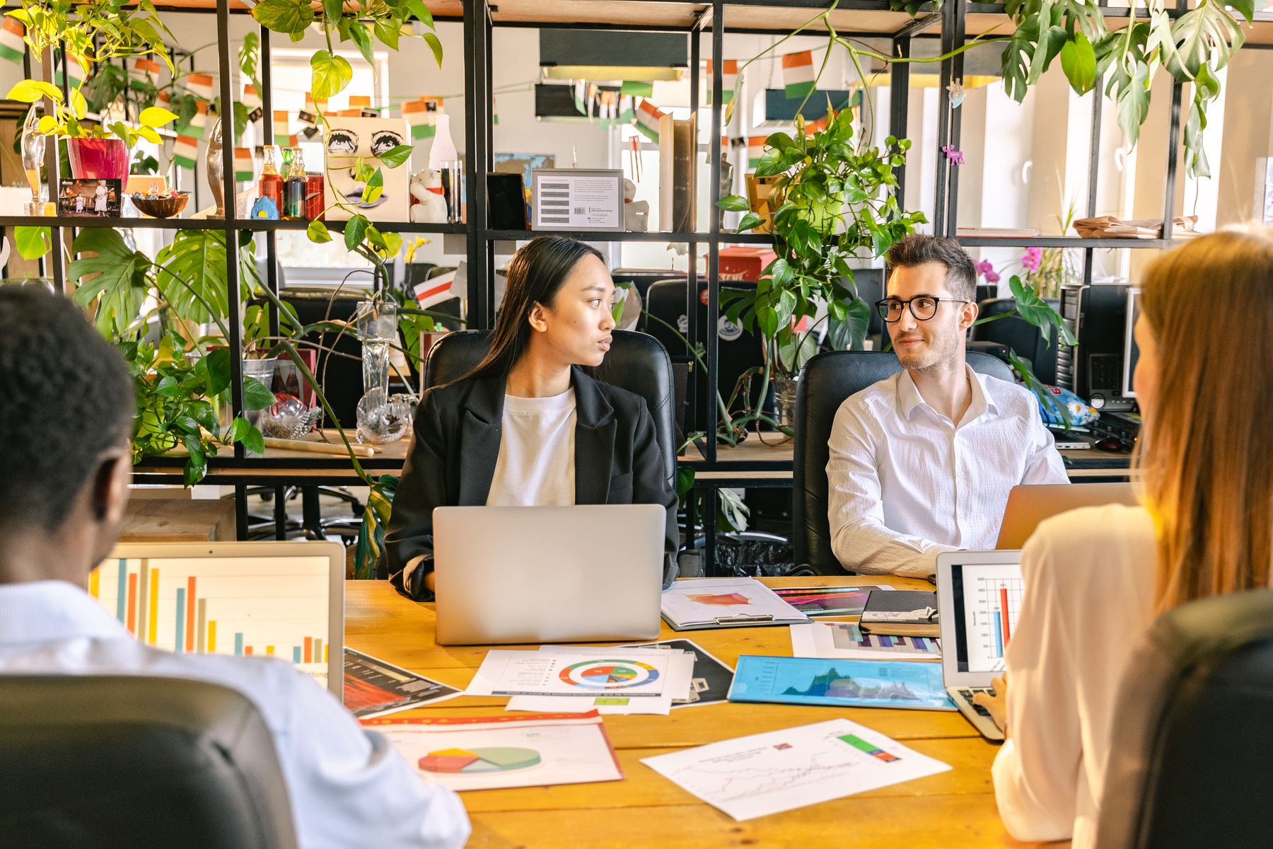 A team meeting in a plant-filled office