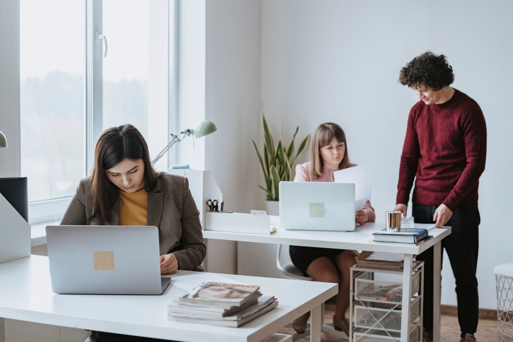 Colleagues in a bright office