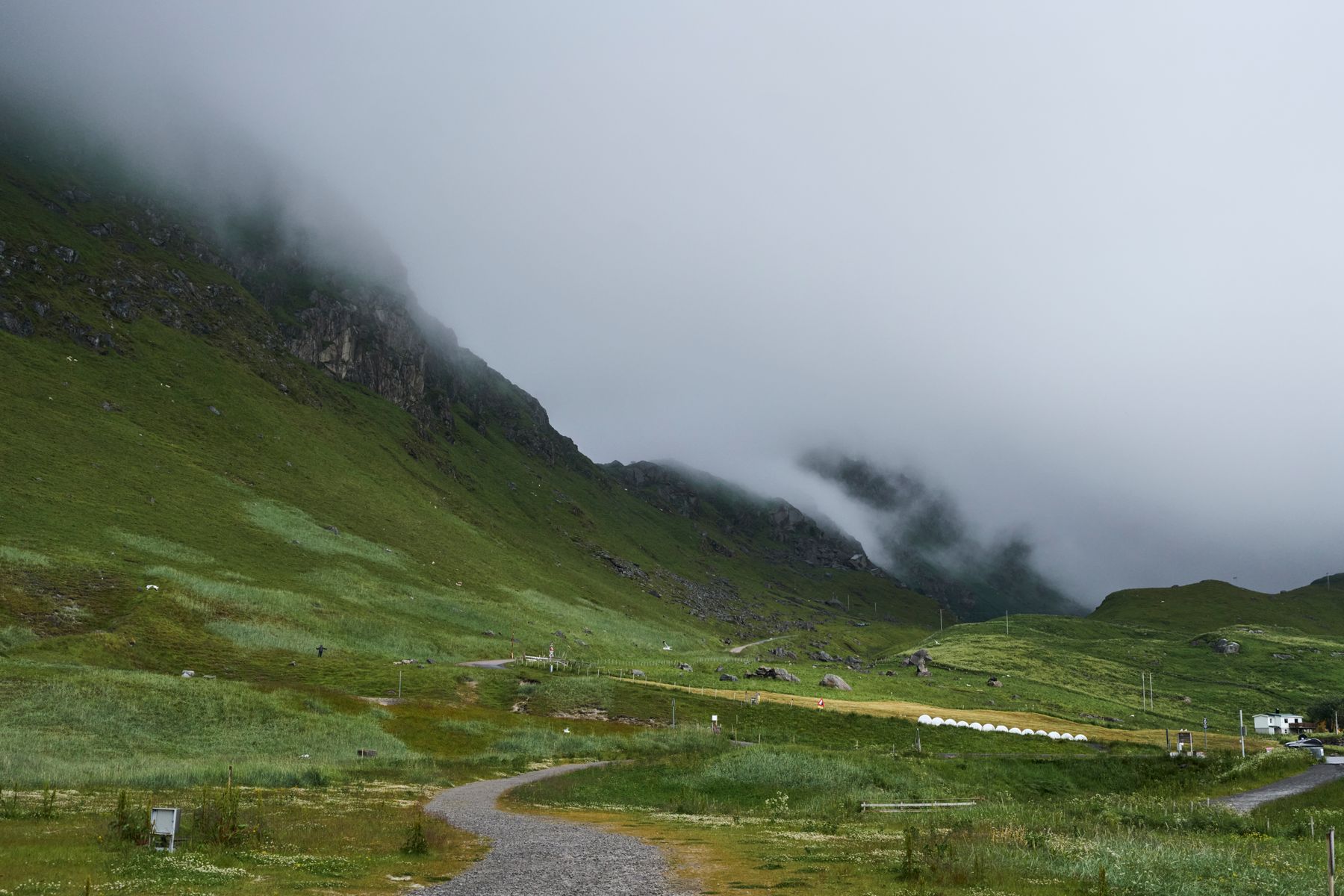 A misty valley with a winding path