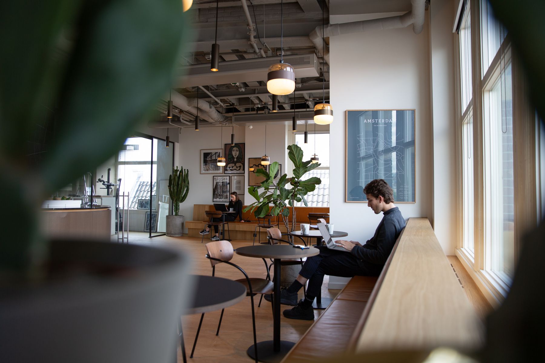 A bright coworking space with plants and large windows