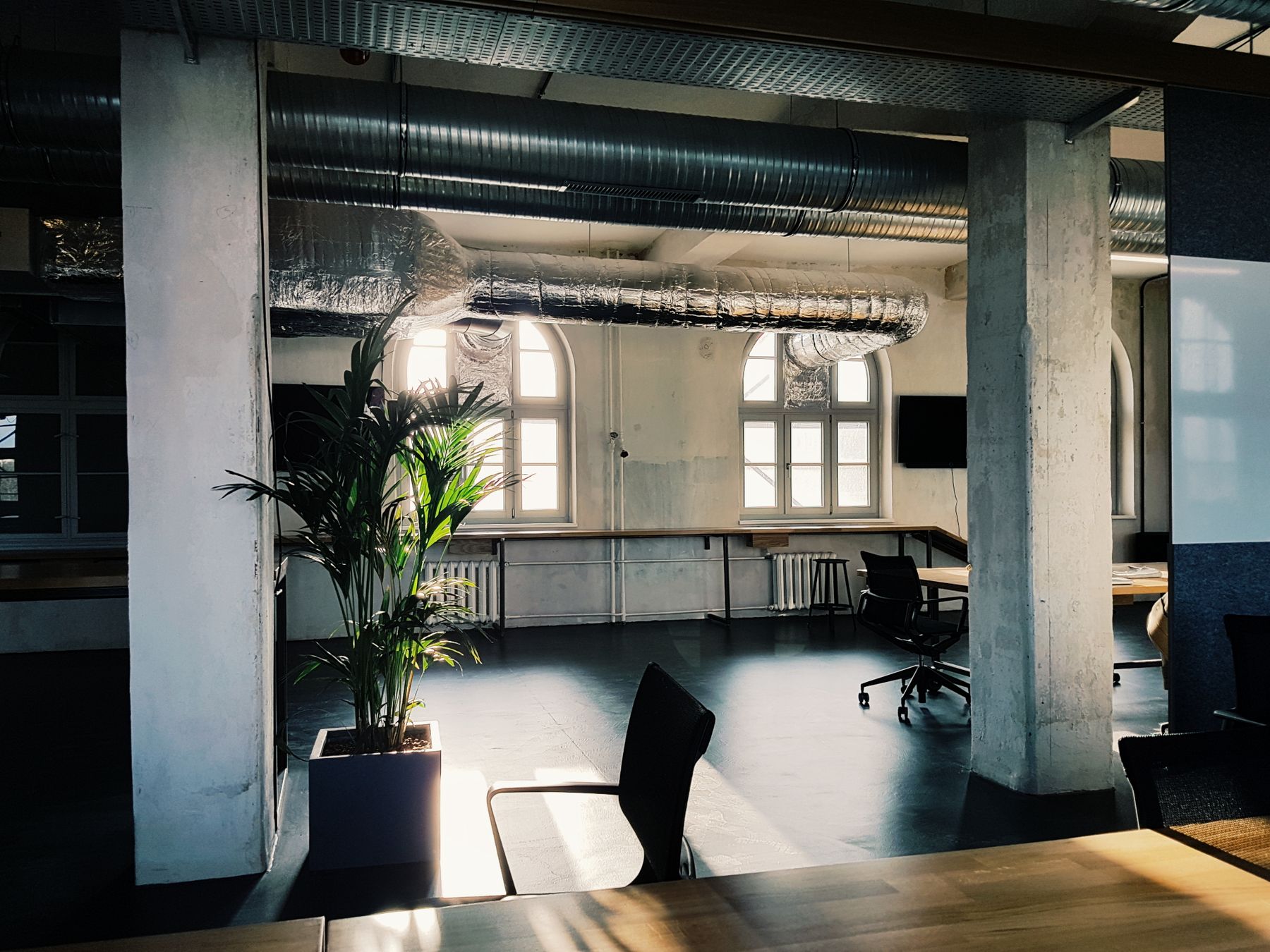 A lofty office with plants