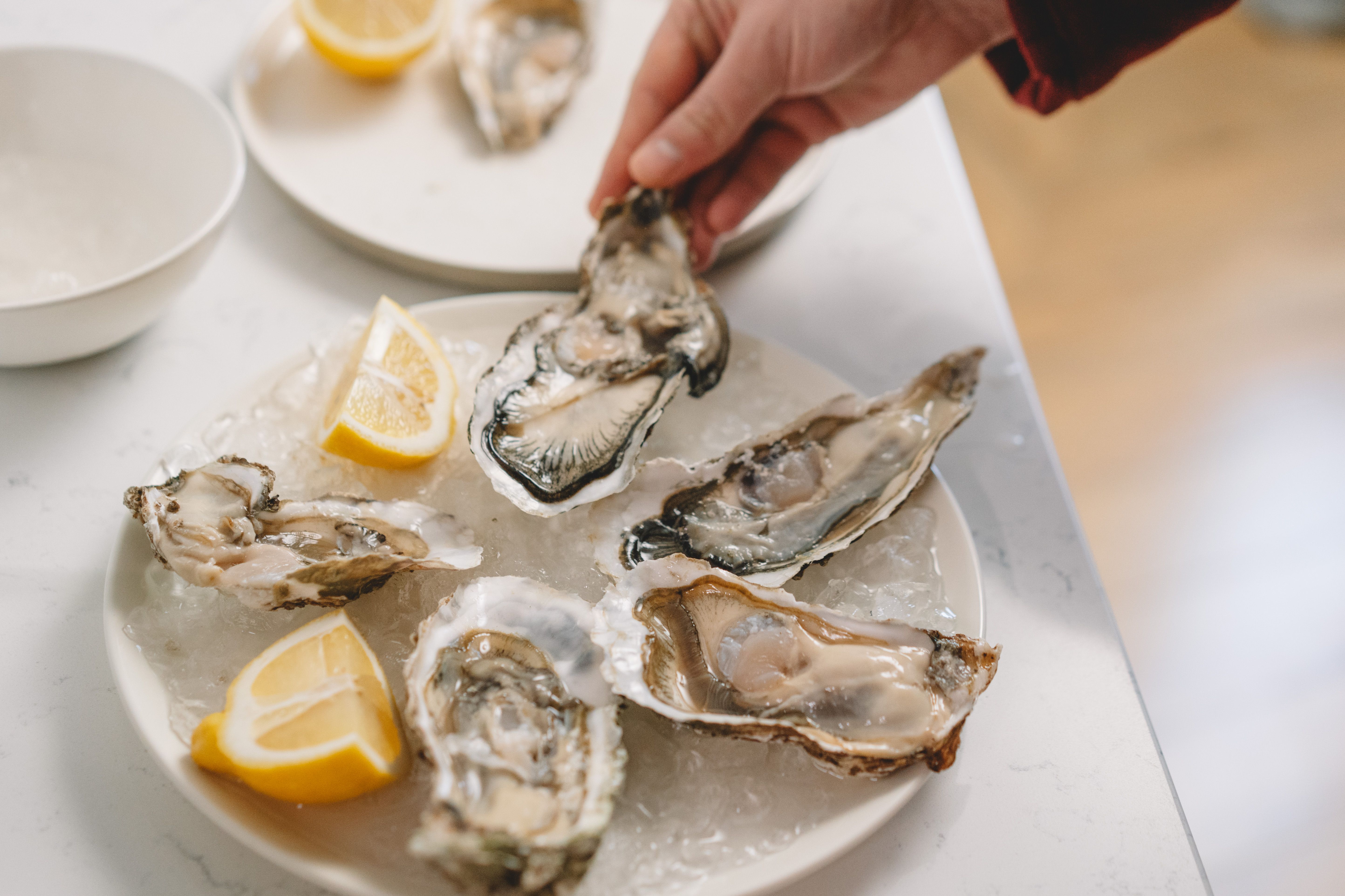 The oyster plate